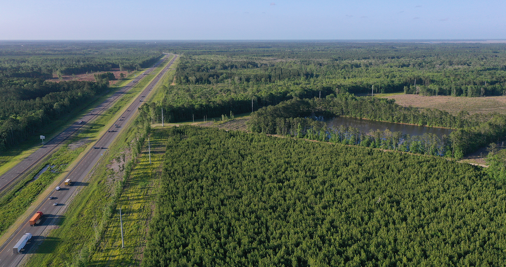 aerial with a roadway and trees