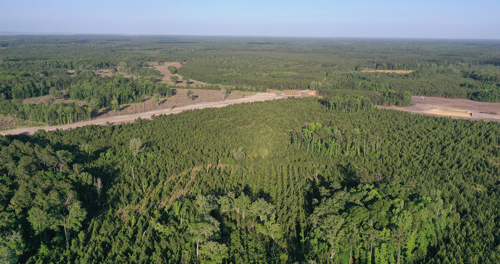 aerial of roadway and trees